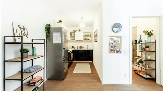 Rooms in Berlin Mitte - photo 8