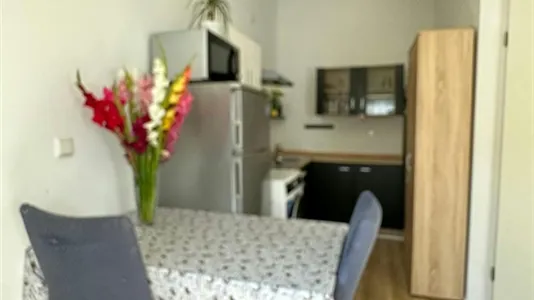 Apartments in Mannheim - photo 9