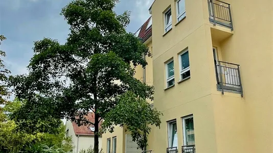 Apartments in Dresden - photo 9