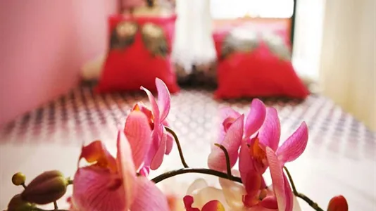 Rooms in Milano Zona 3 - Porta Venezia, Città Studi, Lambrate - photo 5