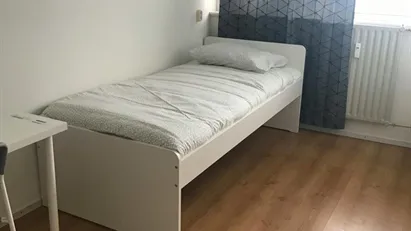 Room for rent in Arnhem, Gelderland