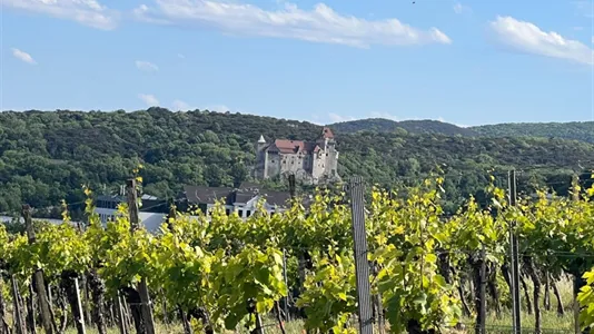 Apartments in Maria Enzersdorf - photo 8