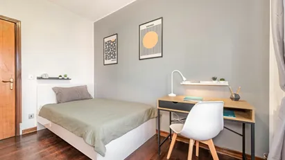 Room for rent in Padua, Veneto