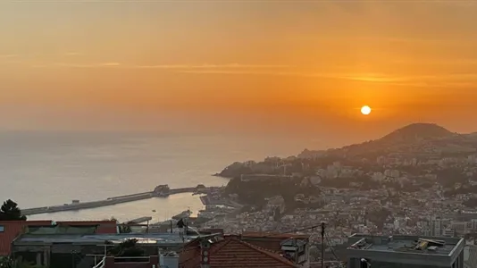 Houses in Funchal - photo 8