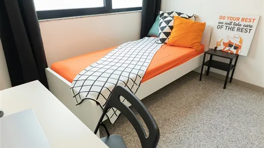 Rooms in Cagliari - photo 1