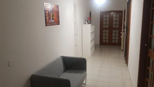 Rooms in Pisa - photo 9