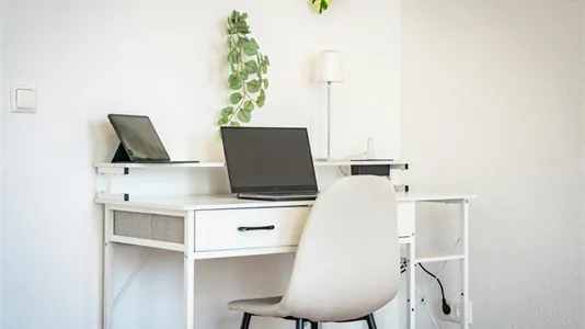 Apartments in Magdeburg - photo 5