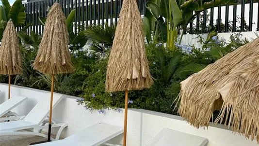 Apartments in Torrevieja - photo 6