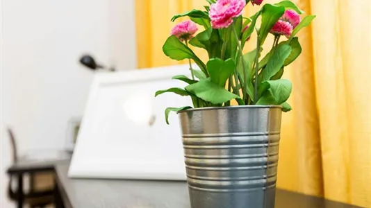 Rooms in Milano Zona 3 - Porta Venezia, Città Studi, Lambrate - photo 2