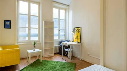 Room for rent in Lyon, Auvergne-Rhône-Alpes