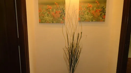 Rooms in Córdoba - photo 10