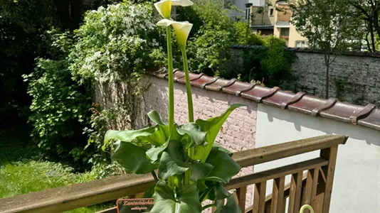 Rooms in Stad Brussel - photo 10