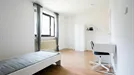 Room for rent, Dusseldorf, Nordrhein-Westfalen, Kölner Landstraße