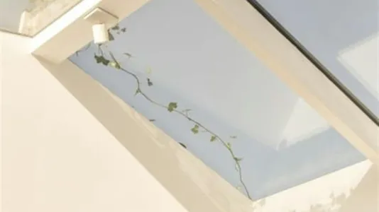 Apartments in Amsterdam Westerpark - photo 9