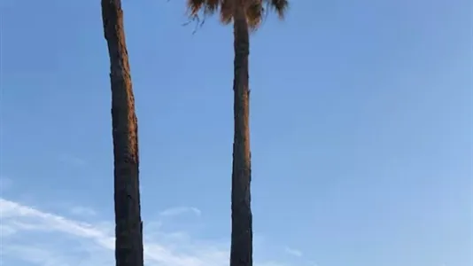 Apartments in Grasse - photo 4