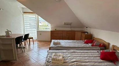 Room for rent in Besnica, Osrednjeslovenska