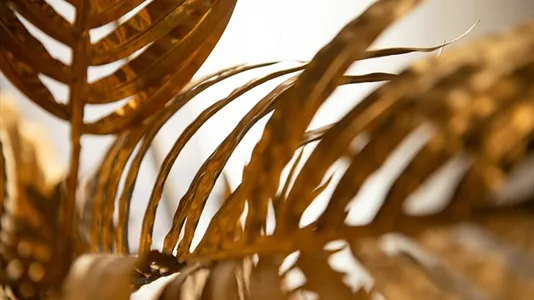 Apartments in Dusseldorf - photo 2