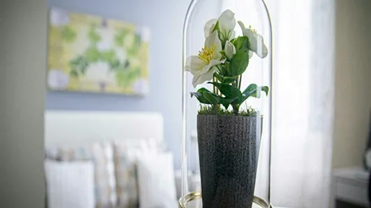 Rooms in Milano Zona 2 - Stazione Centrale, Gorla, Turro, Greco, Crescenzago - photo 7