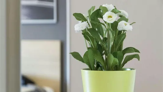 Rooms in Milano Zona 9 - Porta Garibaldi, Niguarda - photo 6