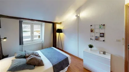 Room for rent in Lyon, Auvergne-Rhône-Alpes