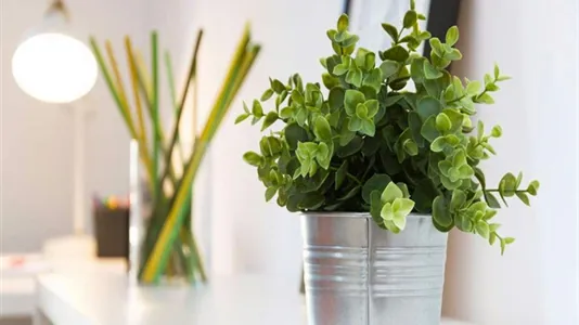 Rooms in Milano Zona 1 - Centro storico - photo 3