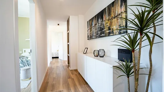 Rooms in Padua - photo 8