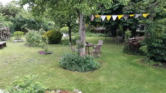 Rooms in Vorpommern-Rügen - photo 8