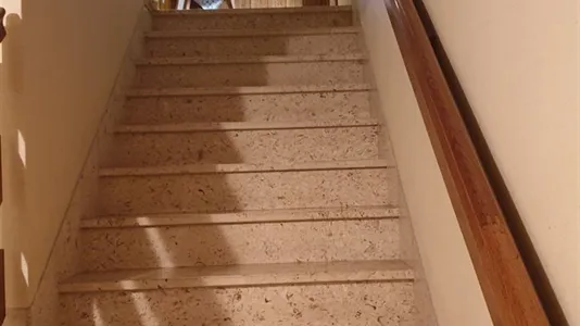 Apartments in Besnica - photo 5