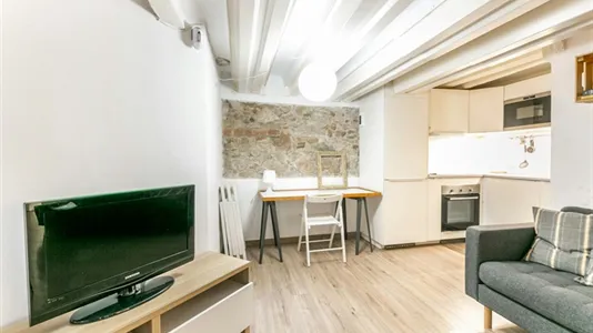 Apartments in Barcelona Ciutat Vella - photo 4