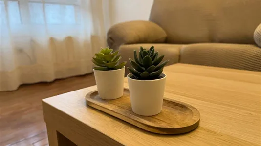 Rooms in Bilbao - photo 5