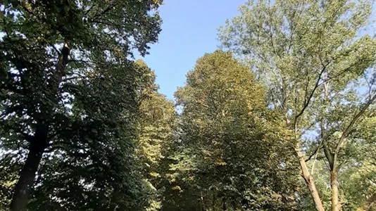 Rooms in Turin - photo 9