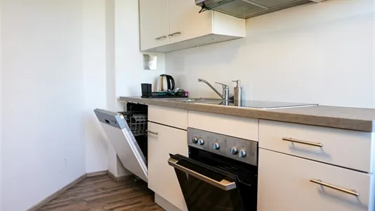 Apartments in Bad Fischau-Brunn - photo 8