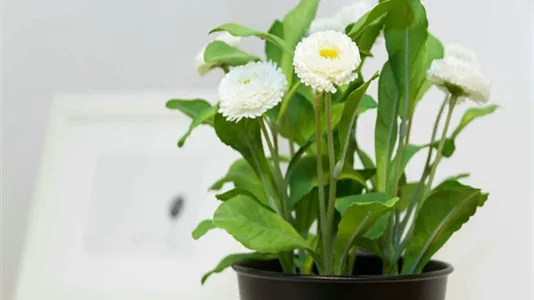 Rooms in Milano Zona 6 - Barona, Lorenteggio - photo 1