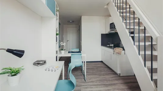 Apartments in Dresden - photo 2