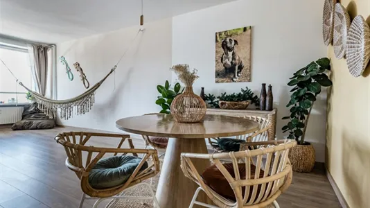 Apartments in Zandvoort - photo 9