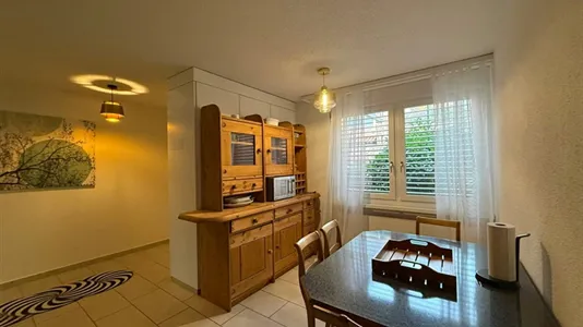 Apartments in Dietikon - photo 10