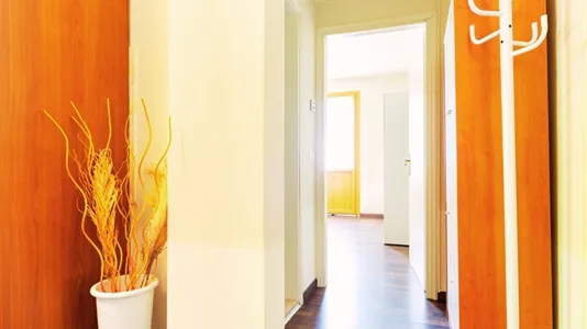 Apartments in Vittorio Veneto - photo 6