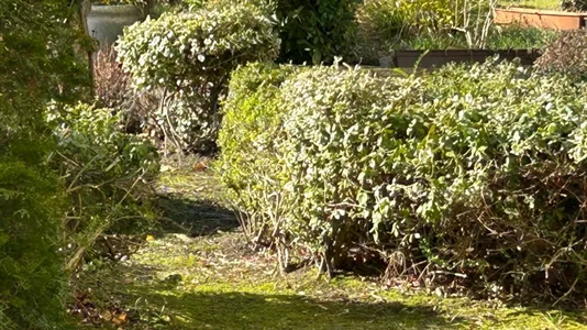 Apartments in Dusseldorf - photo 7