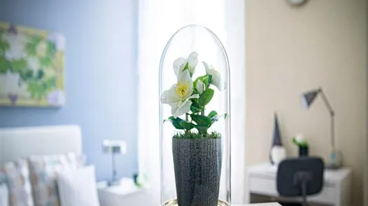 Rooms in Milano Zona 2 - Stazione Centrale, Gorla, Turro, Greco, Crescenzago - photo 8