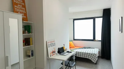 Room for rent in Cagliari, Sardegna