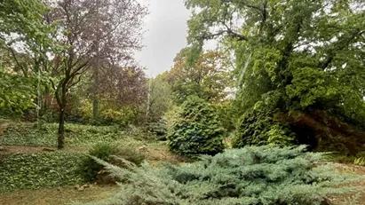 Room for rent in Budapest Várkerület, Budapest