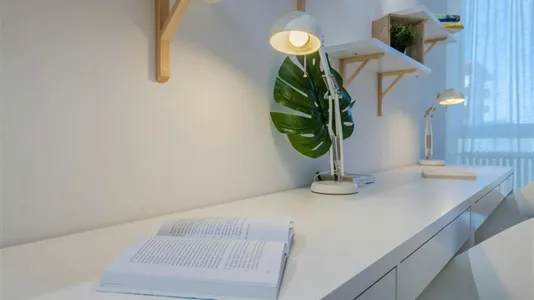 Rooms in Padua - photo 6