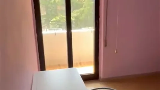 Rooms in Pisa - photo 8