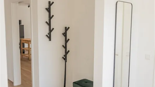 Apartments in Lippe - photo 9