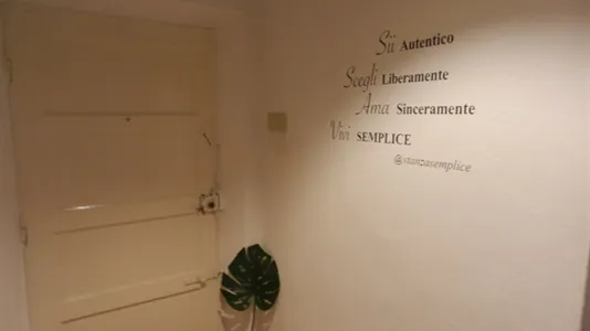 Rooms in Pisa - photo 5