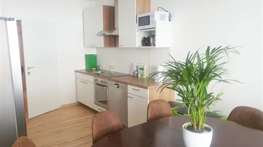 Rooms in Vienna Josefstadt - photo 4