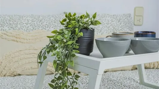 Rooms in Valencia La Zaidía - photo 5