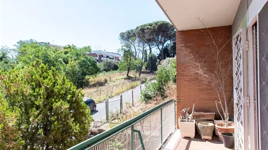 Rooms in Roma Municipio VIII – Appia Antica - photo 8