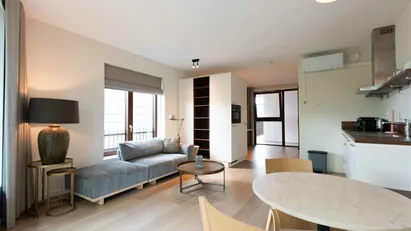 Apartment for rent in Delft, South Holland