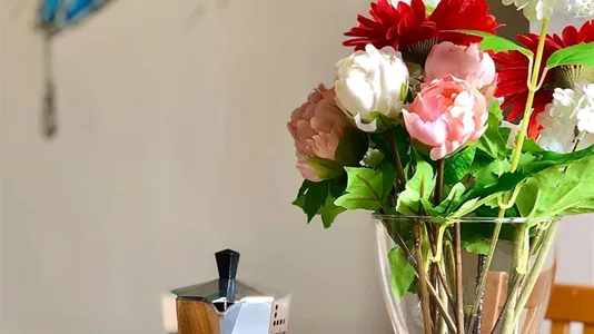 Rooms in Padua - photo 10